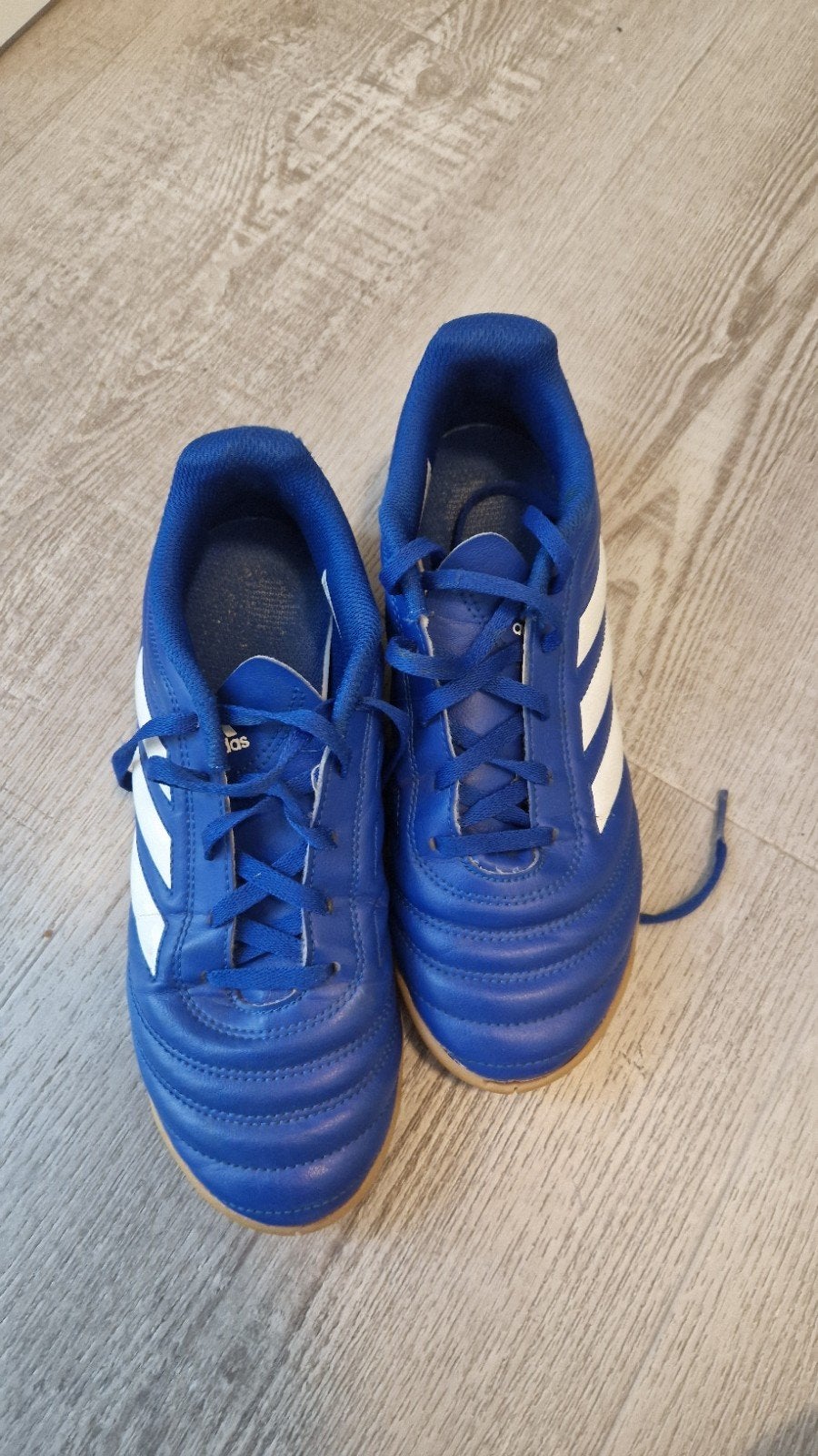 Adidas zaalvoetbalschoenen maat 36 1/4, Maat XS of kleiner, Schoenen, Ophalen of Verzenden, Zo goed als nieuw