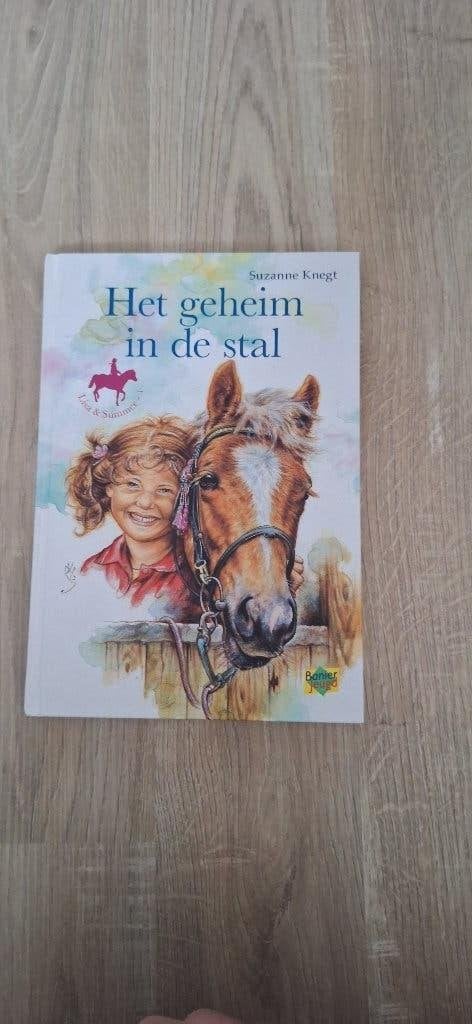 Het geheim in de stal - Suzanne Knegt (Lisa & Summer), Boeken, Ophalen of Verzenden, Zo goed als nieuw, Suzanne Knegt, Fictie algemeen