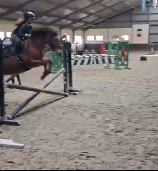 Bijrijder aangeboden, Dieren en Toebehoren, Paarden en Pony's | Verzorgingsproducten, Ophalen of Verzenden, Nieuw