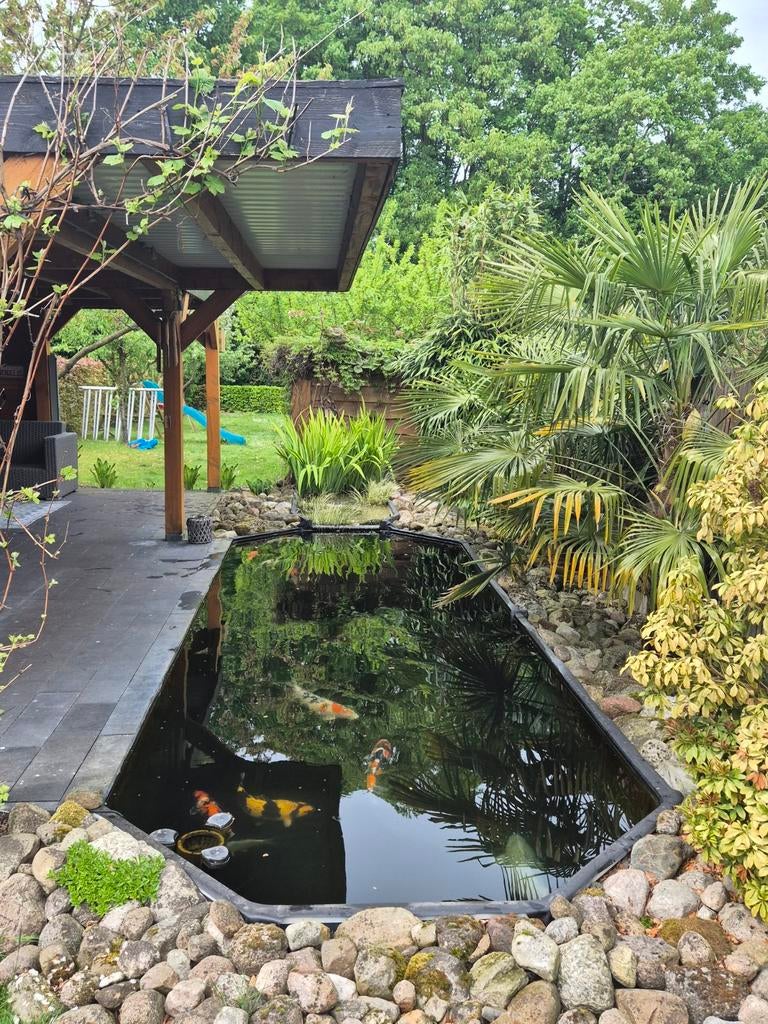 Complete koi vijver inclusief apparatuur., Tuin en Terras, Ophalen of Verzenden
