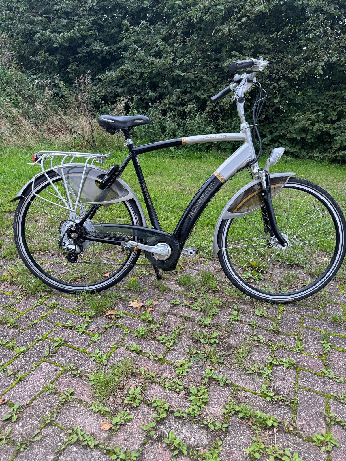 Batavus Elektrische fiets herenfiets