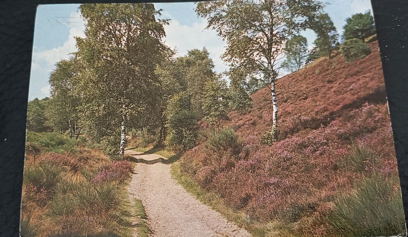 Appelscha 1972. De Roggeberg, Ophalen of Verzenden, 1960 tot 1980, Gelopen, Friesland