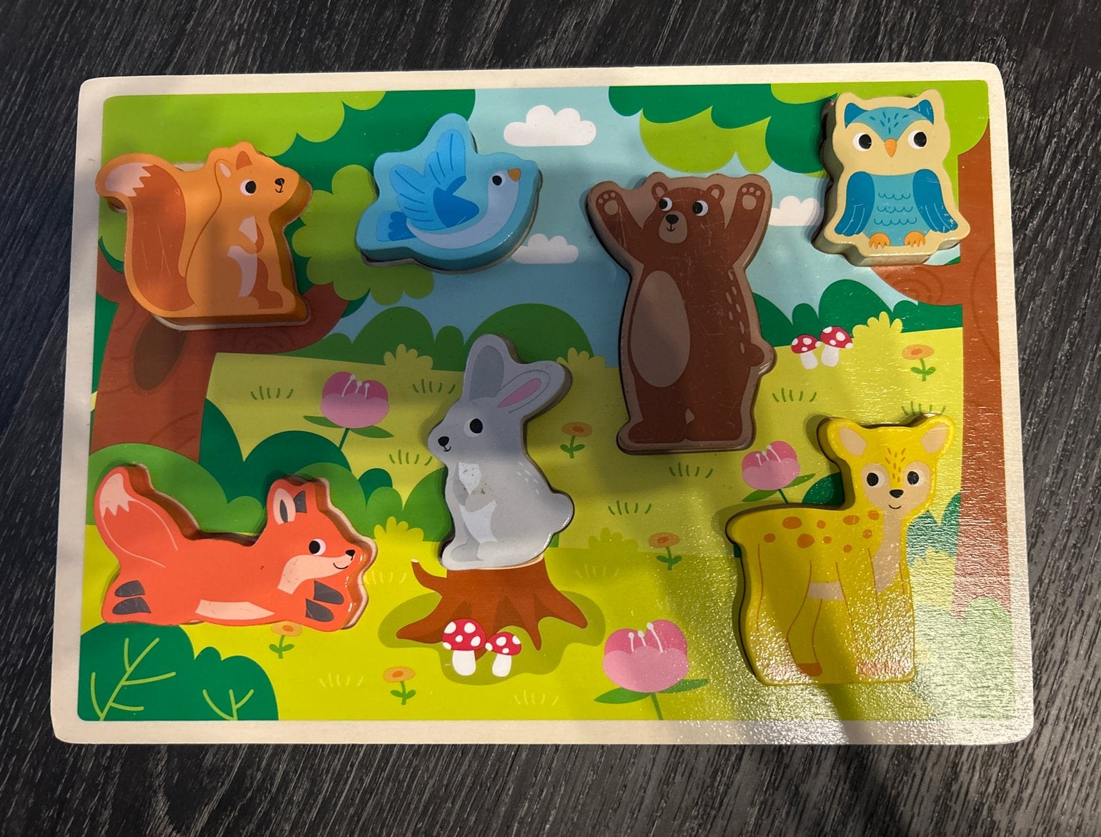 Houten Dieren Puzzel voor Kinderen, Ophalen, 2 tot 4 jaar, Gebruikt, Van hout