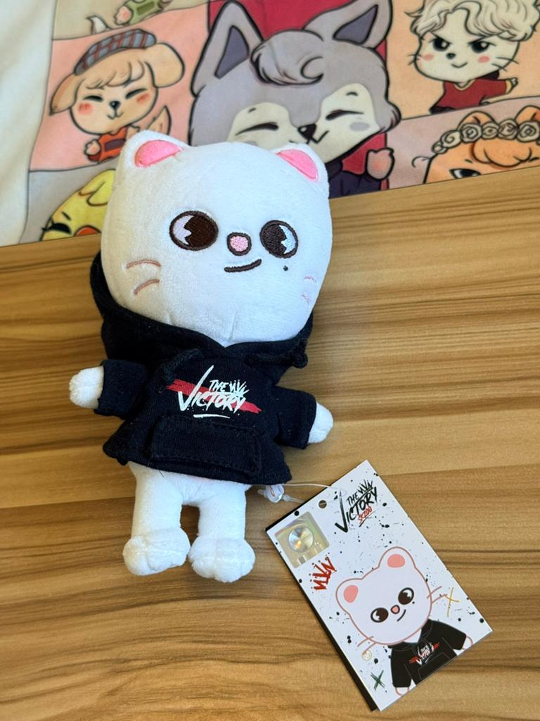 Stray Kids Jiniret Hyunjin skzoo plush, Verzamelen, Muziek, Artiesten en Beroemdheden, Ophalen of Verzenden, Nieuw, Foto of Kaart