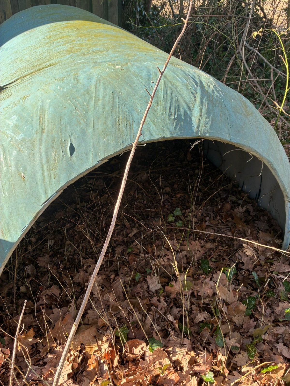 Schuilstal voor varkens , geiten