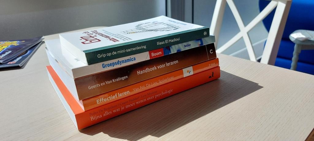 Boekenstapel voor leraren (PDG, HvA), Ophalen of Verzenden, Zo goed als nieuw
