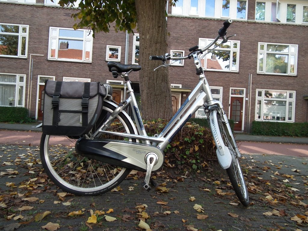 Sparta ION Elektrische damesfiets goedwerkend! 54cm, Sparta, Gebruikt, Ophalen of Verzenden, 51 tot 55 cm
