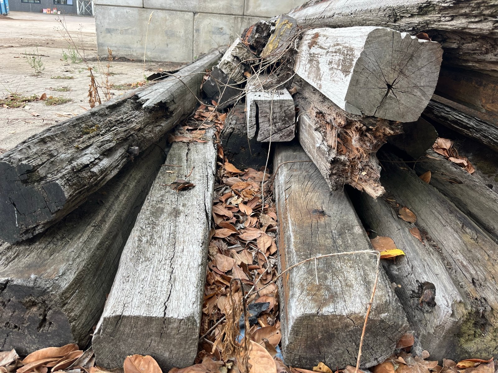 Partij meerpalen / tropisch hardhout - ca. 25 stuks, Ophalen, Gebruikt, Balk, Overige houtsoorten