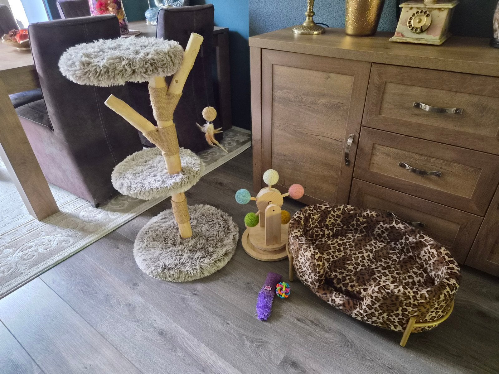 nieuwe complete katten/kitten set, Ophalen, Nieuw