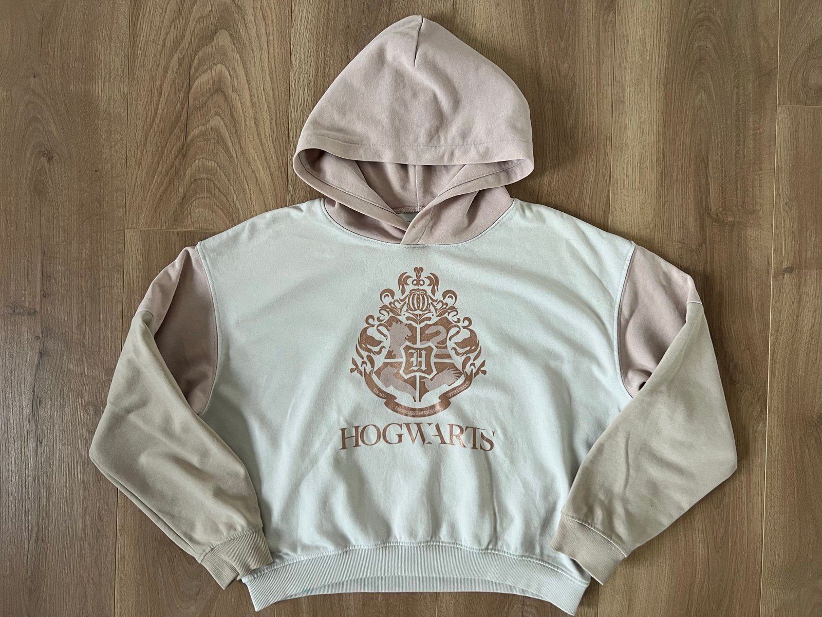 H&M Harry Potter Hogwarts Hoodie - Katoen/Polyester, Ophalen of Verzenden, Gebruikt, Jongen of Meisje, Trui of Vest