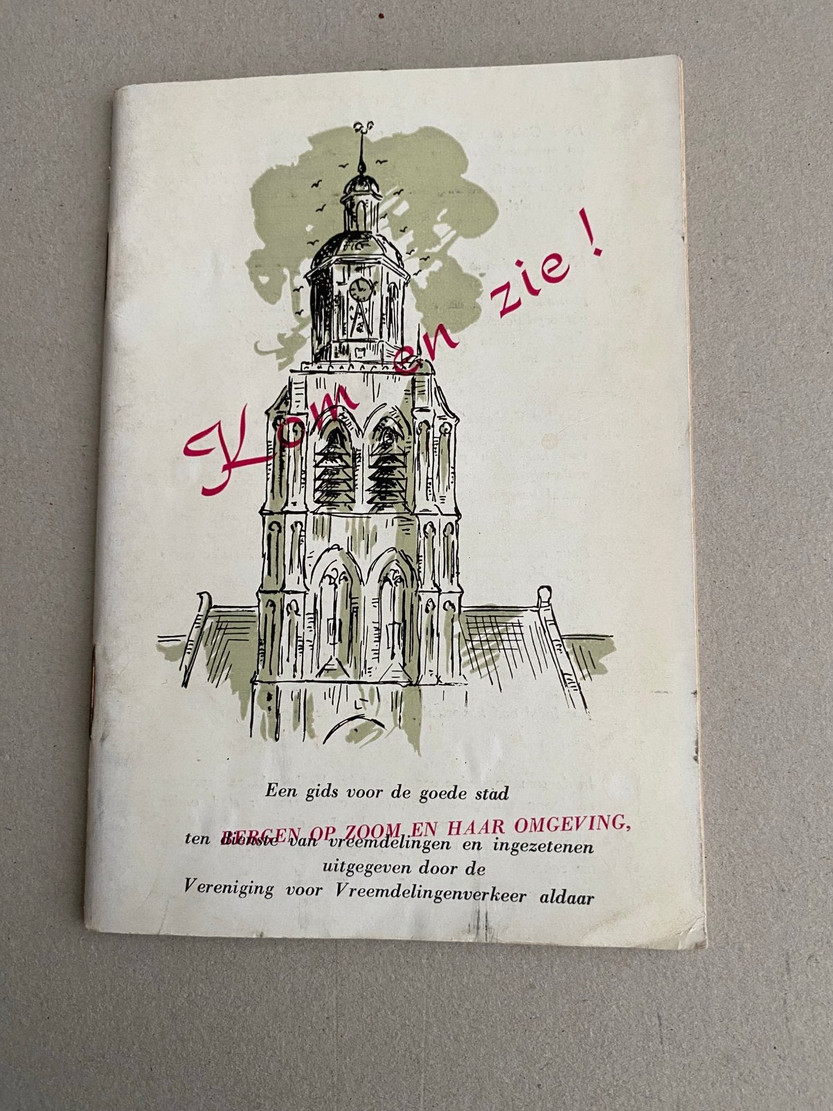 Kom en zie. Gids voor de goede stad Bergen op Zoom, Ophalen of Verzenden, Zo goed als nieuw