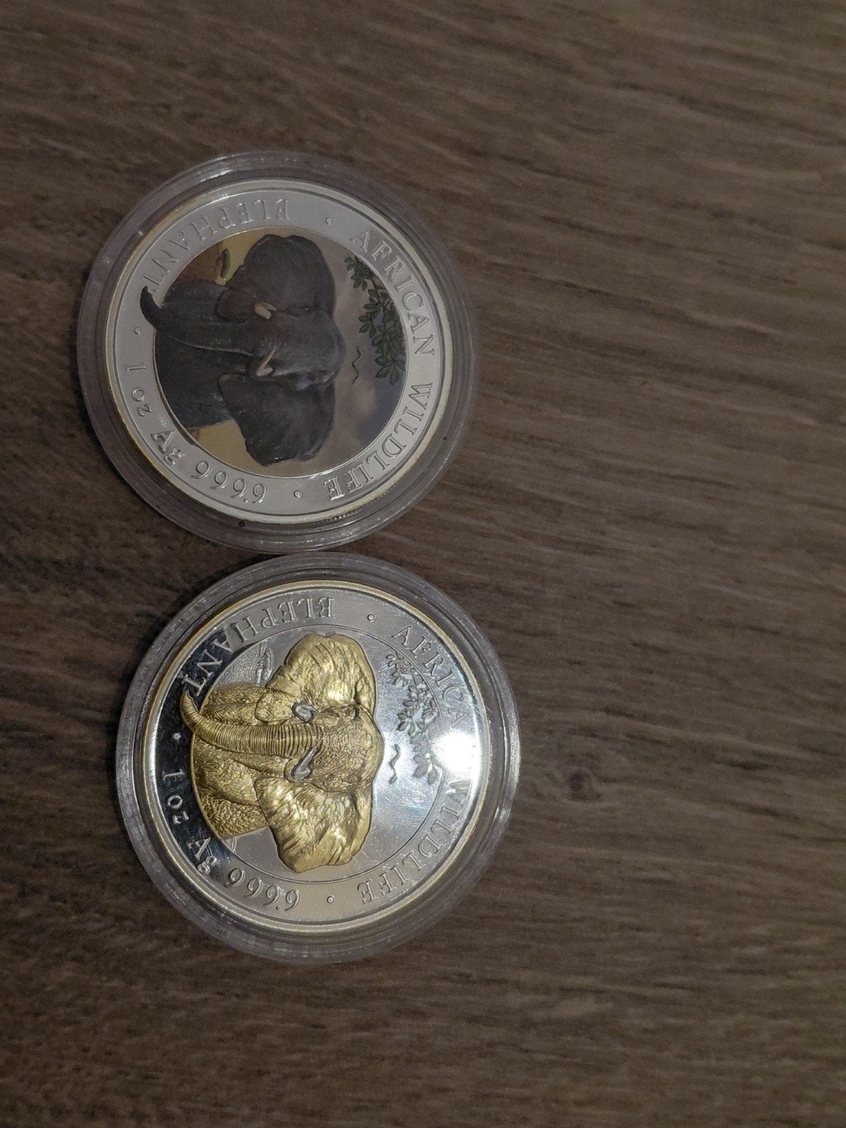 Somalië Olifant 1 oz gilded en kleur 2021, Ophalen of Verzenden, Overige landen, Setje, Zilver