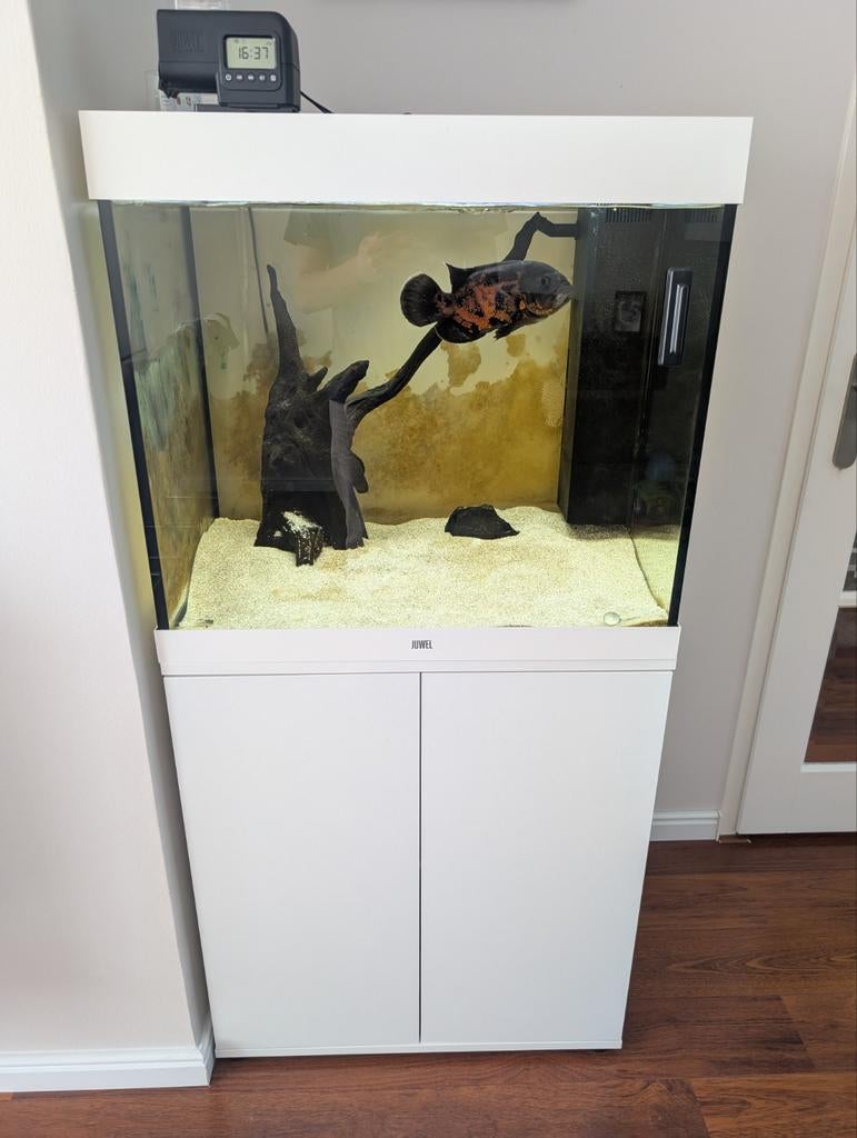 Juwel lido 200, Dieren en Toebehoren, Ophalen, Verwarming, Gebruikt, Juwel