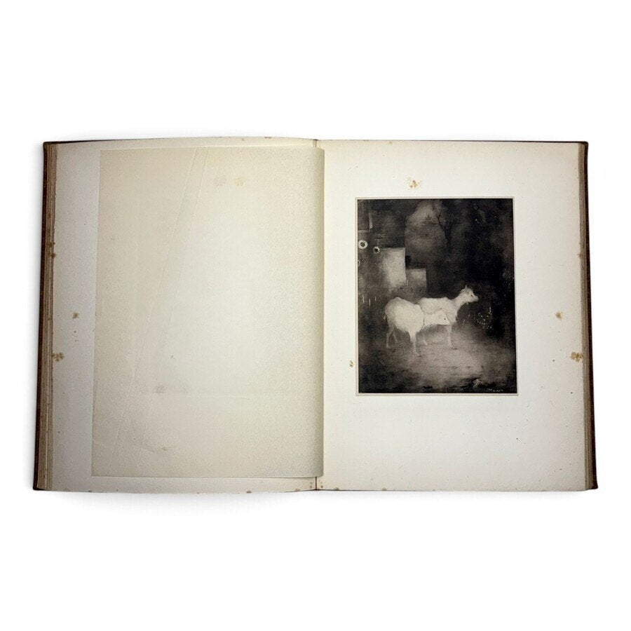 Jan Mankes (1889-1920) - monografie met heliogravures, Antiek en Kunst, Ophalen of Verzenden