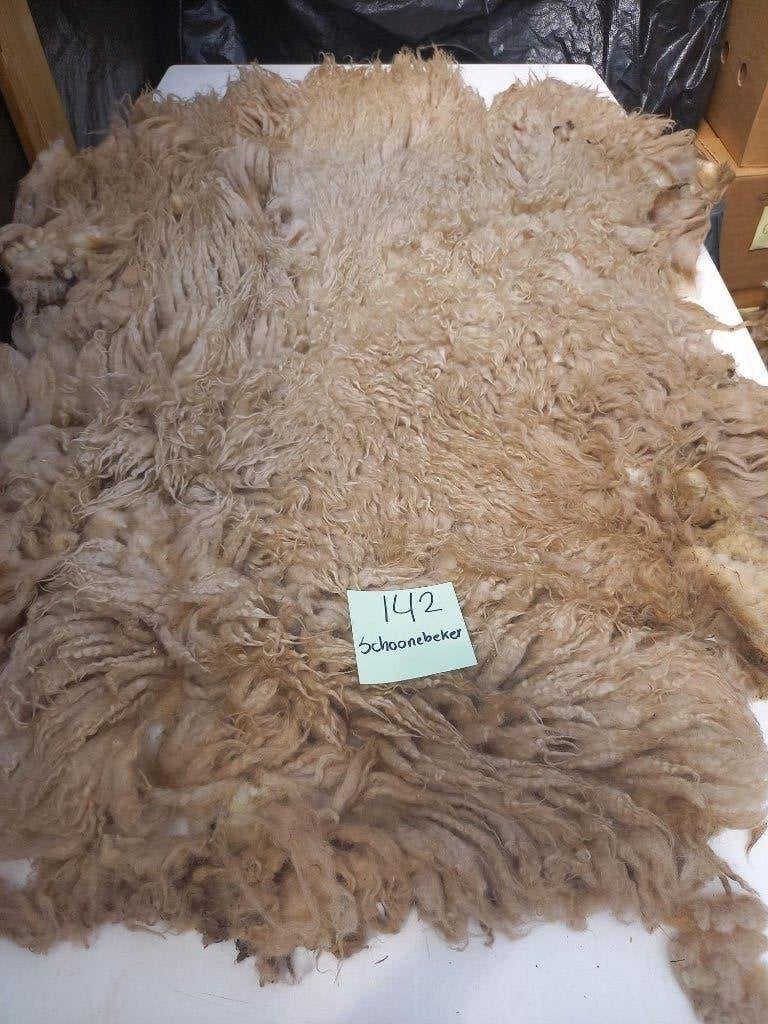 nr 142 Geschoren vacht van een Schoonebeker heideschaap, Ophalen of Verzenden, Nieuw