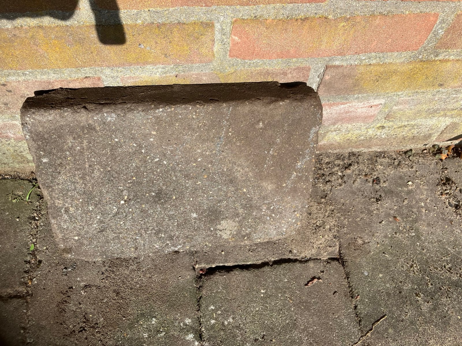 Gratis afhalen: betontegels voor oprit, Ophalen, Gebruikt, 10 m² of meer, Beton