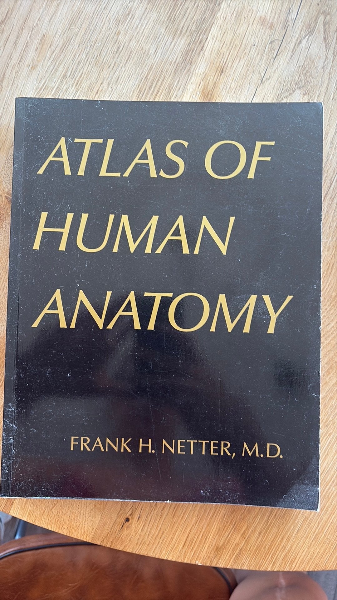 Atlas of human anatomy, Boeken, Ophalen of Verzenden, Beta, Zo goed als nieuw, WO