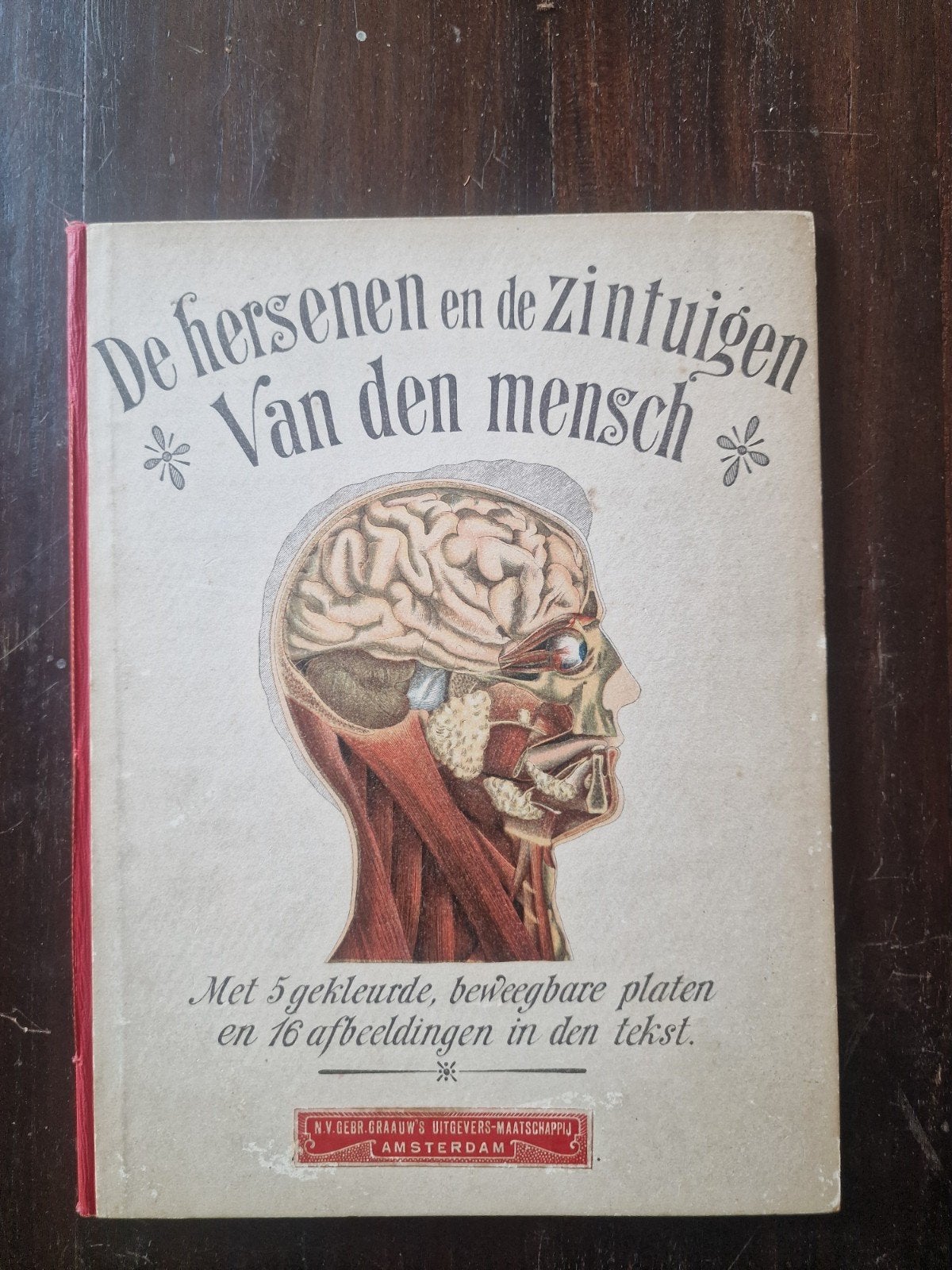 De Hersenen en de Zintuigen van de Mensch - Antiek Boek, Gelezen, Niet van toepassing, Ophalen of Verzenden, Dr. P.S.S. Coronel
