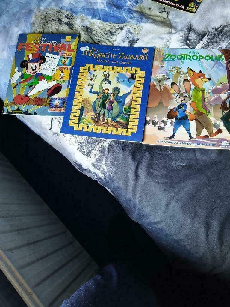 Strip boeken Disney, Boeken, Eén stripboek, Ophalen, Zo goed als nieuw, Disney