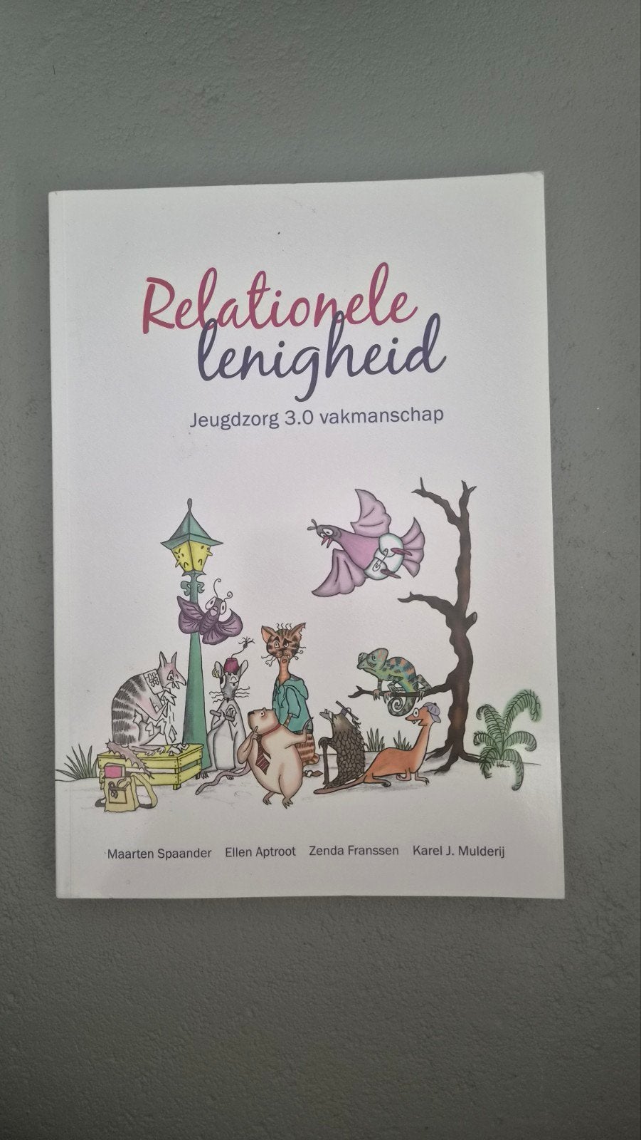Relationele Lenigheid: Jeugdzorg 3.0 Vakmanschap, Ophalen of Verzenden, Gamma, Zo goed als nieuw, HBO