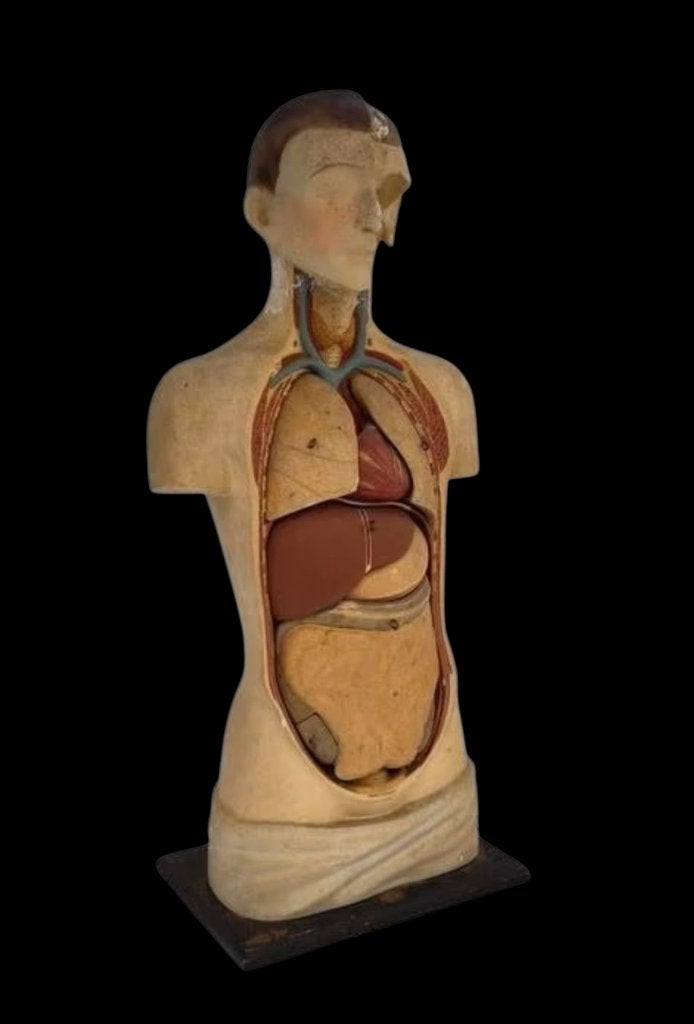 Anatomisch medisch buste gips, Ophalen of Verzenden