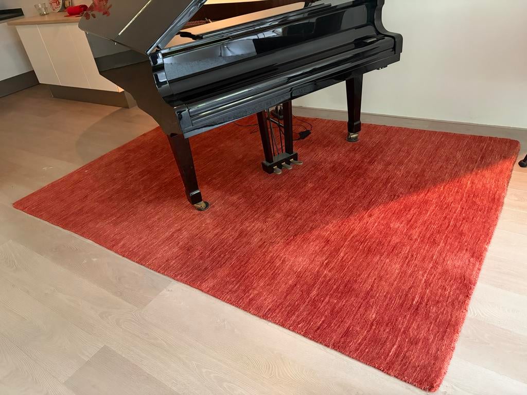Rood vloerkleed 200x300cm, Huis en Inrichting, Ophalen, Gebruikt, 200 cm of meer, Rechthoekig
