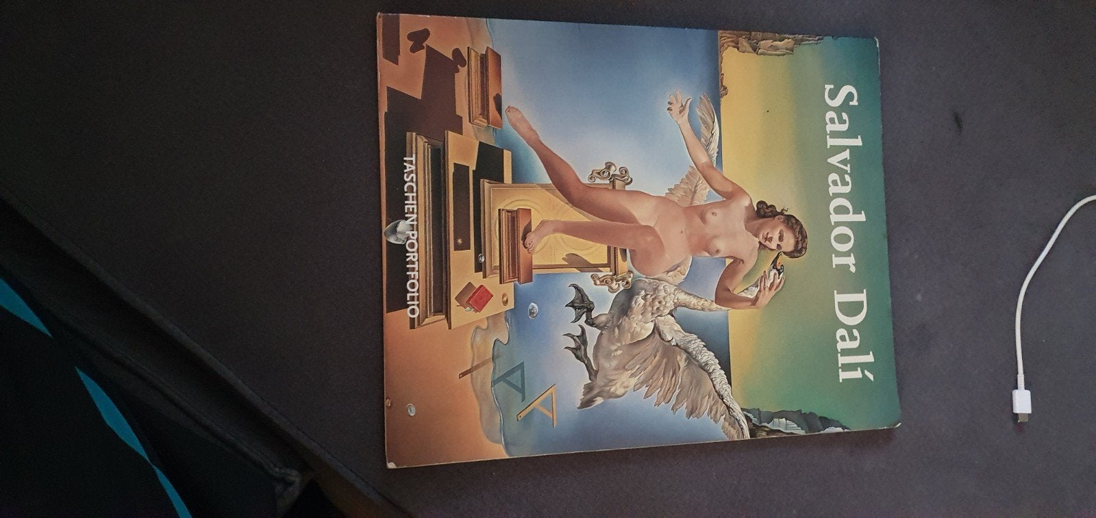 Salvador Dalí Taschen Portfolio - Kunstboek, Boeken, Ophalen of Verzenden, Gelezen, Overige onderwerpen, Salvador Dalí