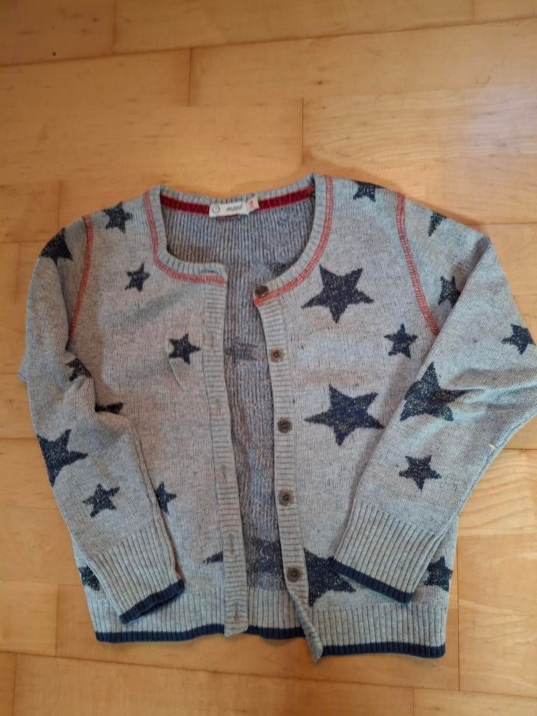 Leuk vestje, meisje, Mees, maat 116, Ophalen of Verzenden, Zo goed als nieuw, Meisje, Trui of Vest