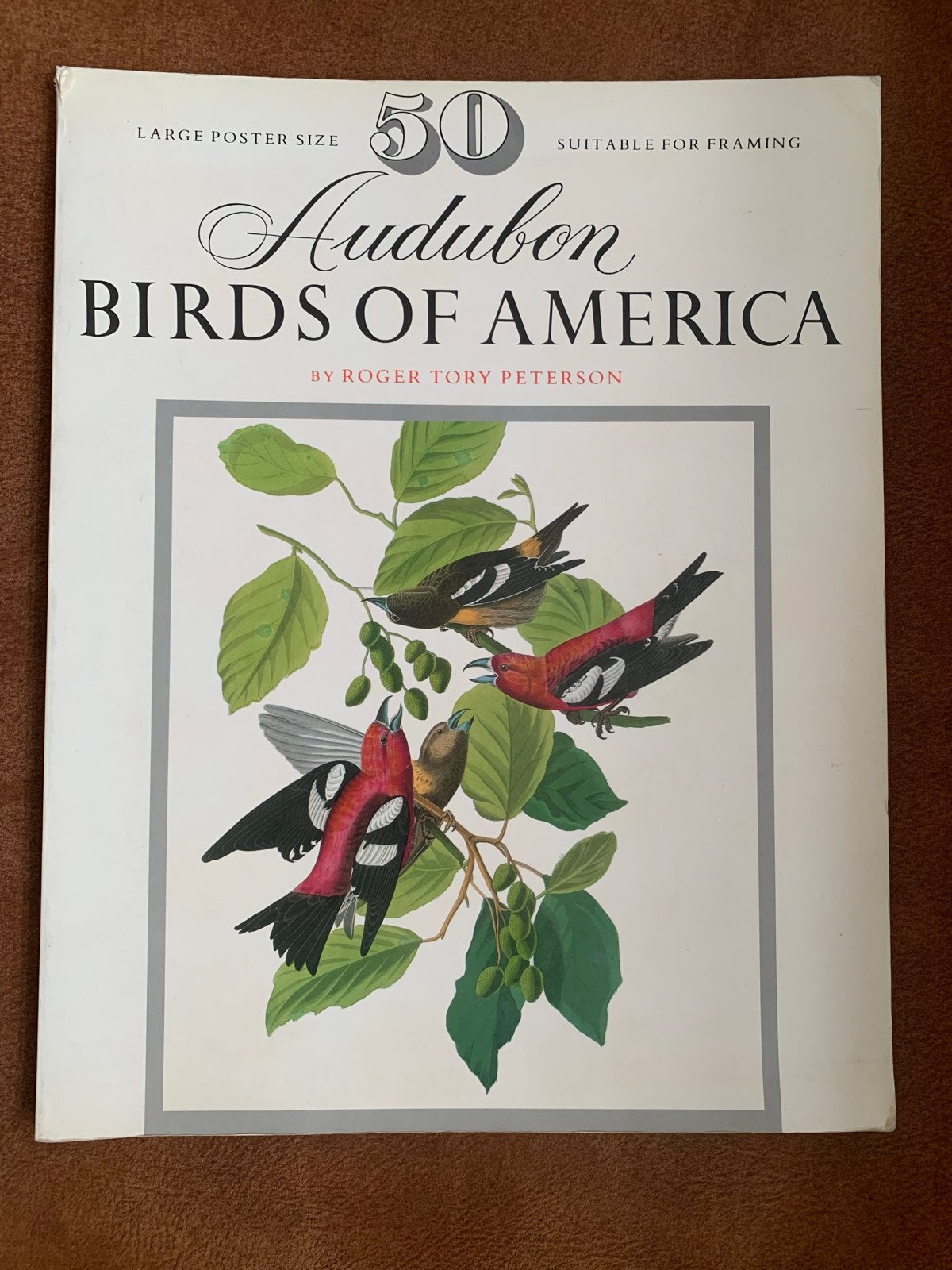 Prachtig Antiek Boek: Audubon Birds of America - Poster Form, Ophalen of Verzenden, Gelezen, Vogels