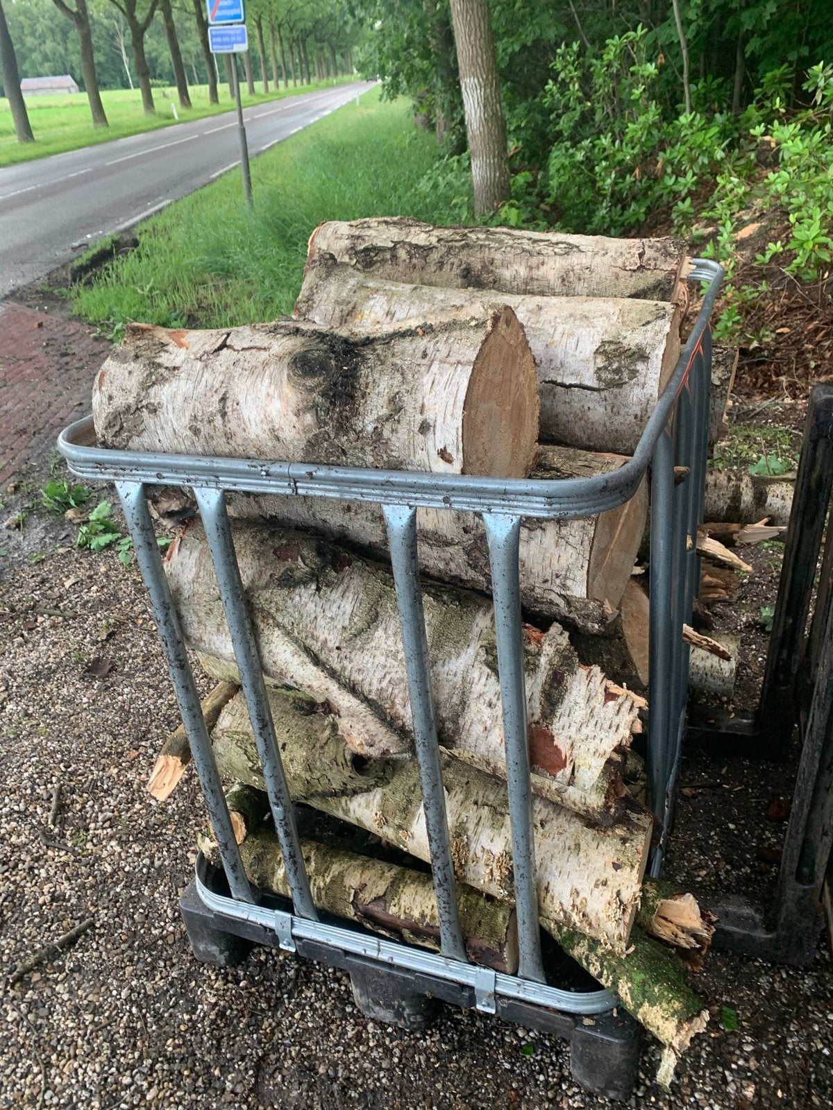 Gedroogd berkenhout op stam - Mooi hard en droog, Minder dan 3 m³, Ophalen, Berkenhout, Stammen