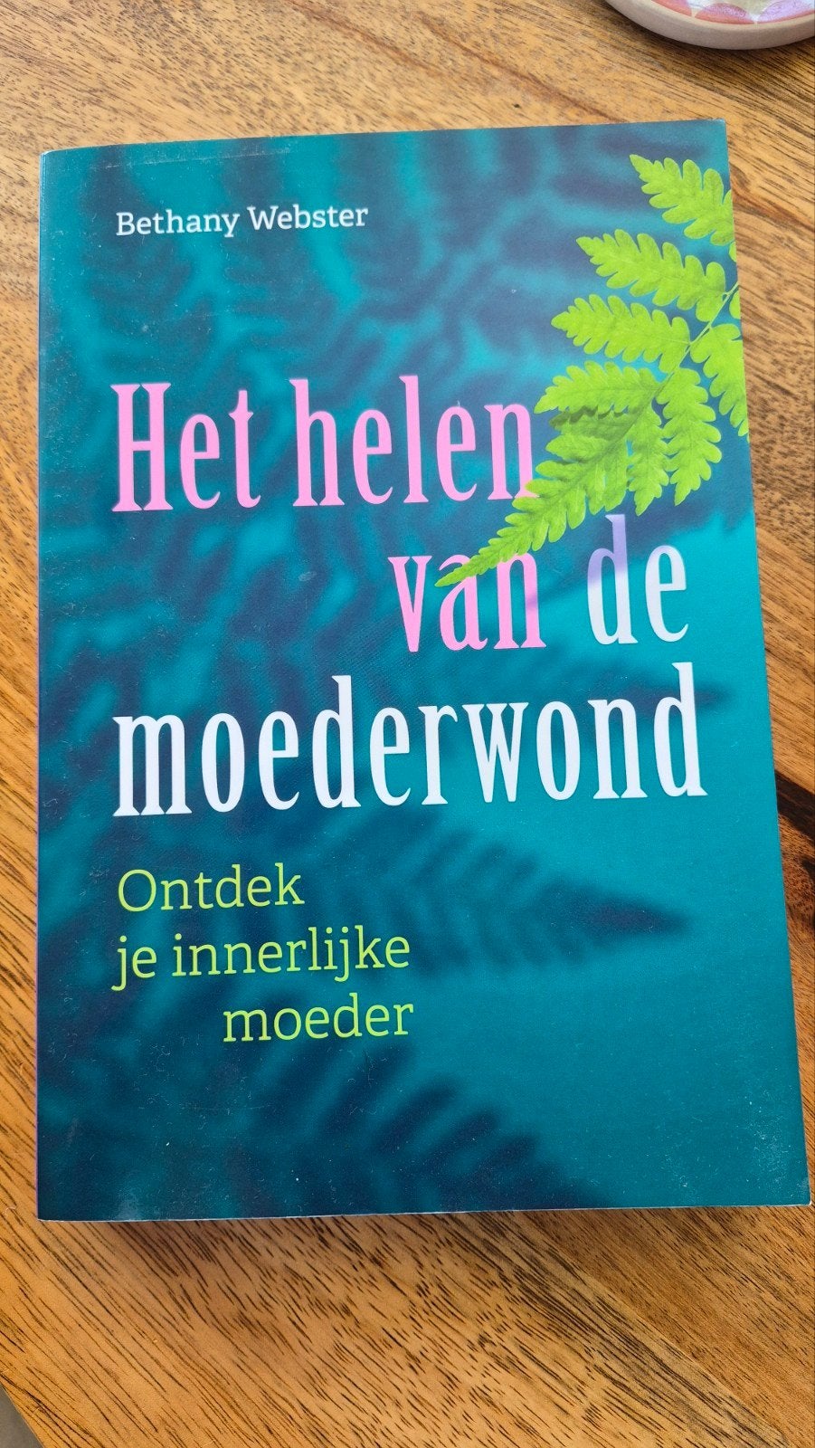 Het helen van de moederwond - Bethany Webster, Ophalen of Verzenden, Zo goed als nieuw, Bethany Webster, Nederland