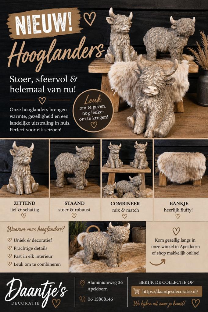 Gave hooglanders nieuwe serie, Huis en Inrichting, Woonaccessoires | Overige, Ophalen of Verzenden, Nieuw