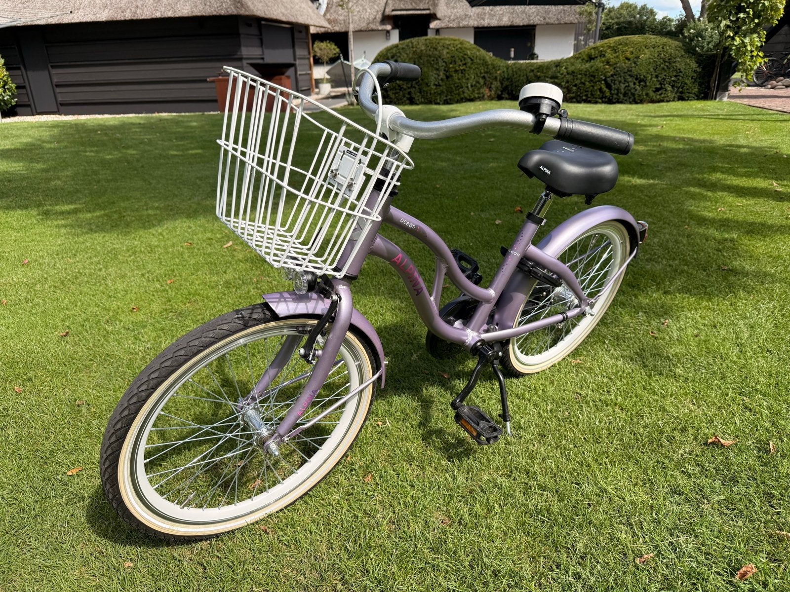 Alpina Ocean 20 inch meisjesfiets, Fietsen en Brommers, Fietsen | Meisjes, Ophalen, Terugtraprem, 20 inch, Handrem