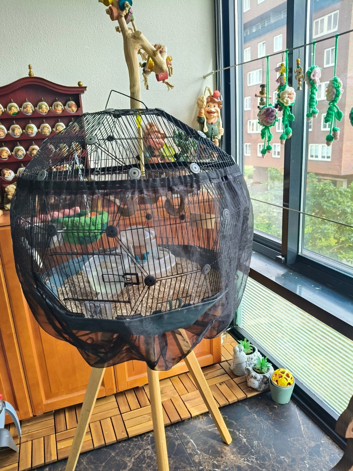 Agapornisen met vogelkooi van omlet, Ophalen, Zo goed als nieuw, Overige materialen, Vogelkooi