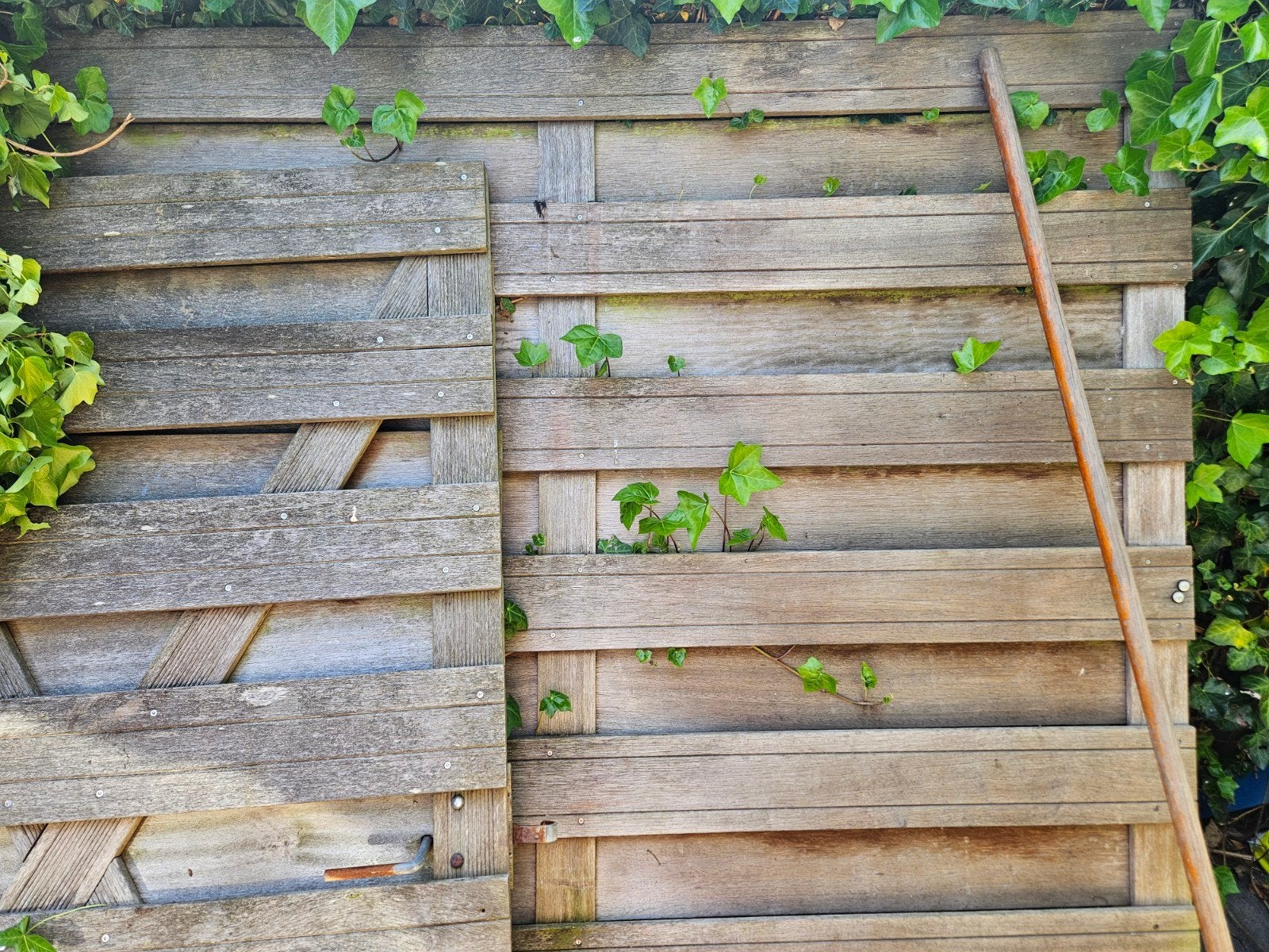 Schutting en poort, Tuin en Terras, Schuttingen, Ophalen, Hout, Minder dan 3 meter, 1 tot 2 meter