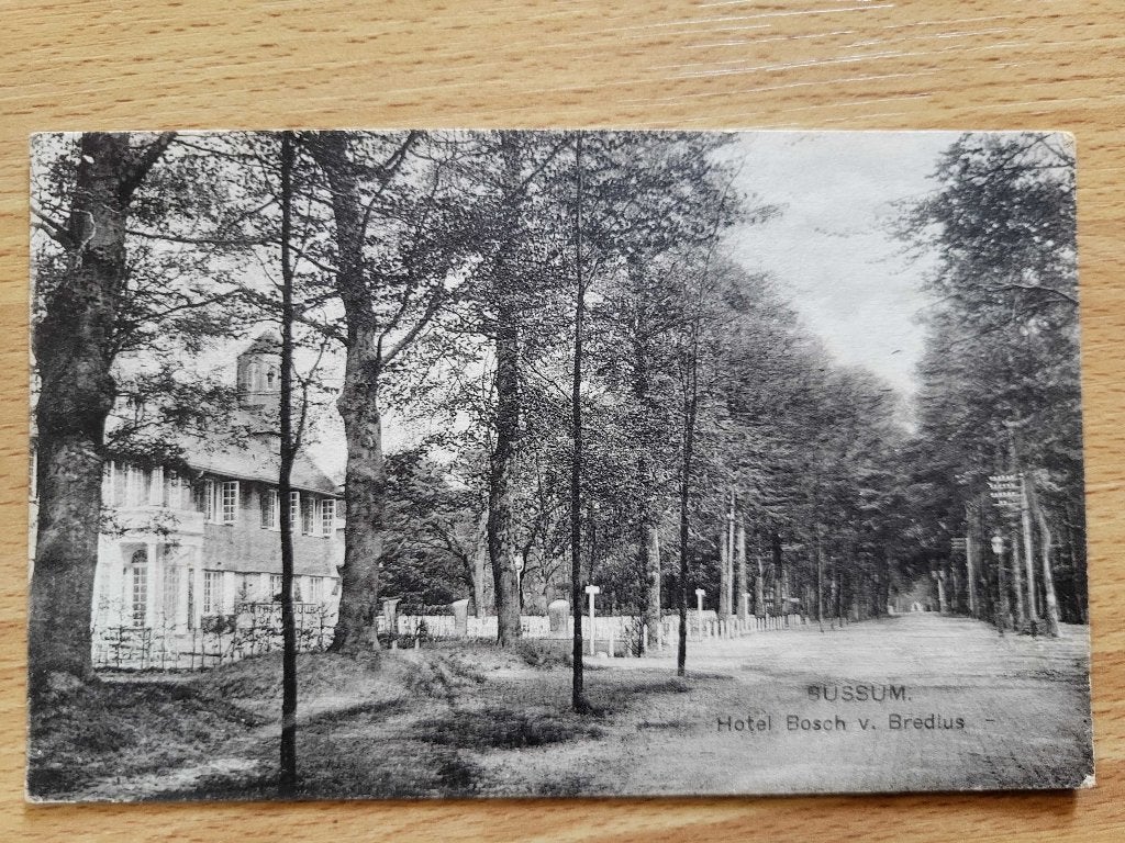 ansicht BUSSUM Bredius, Ophalen of Verzenden, Voor 1920, Noord-Holland