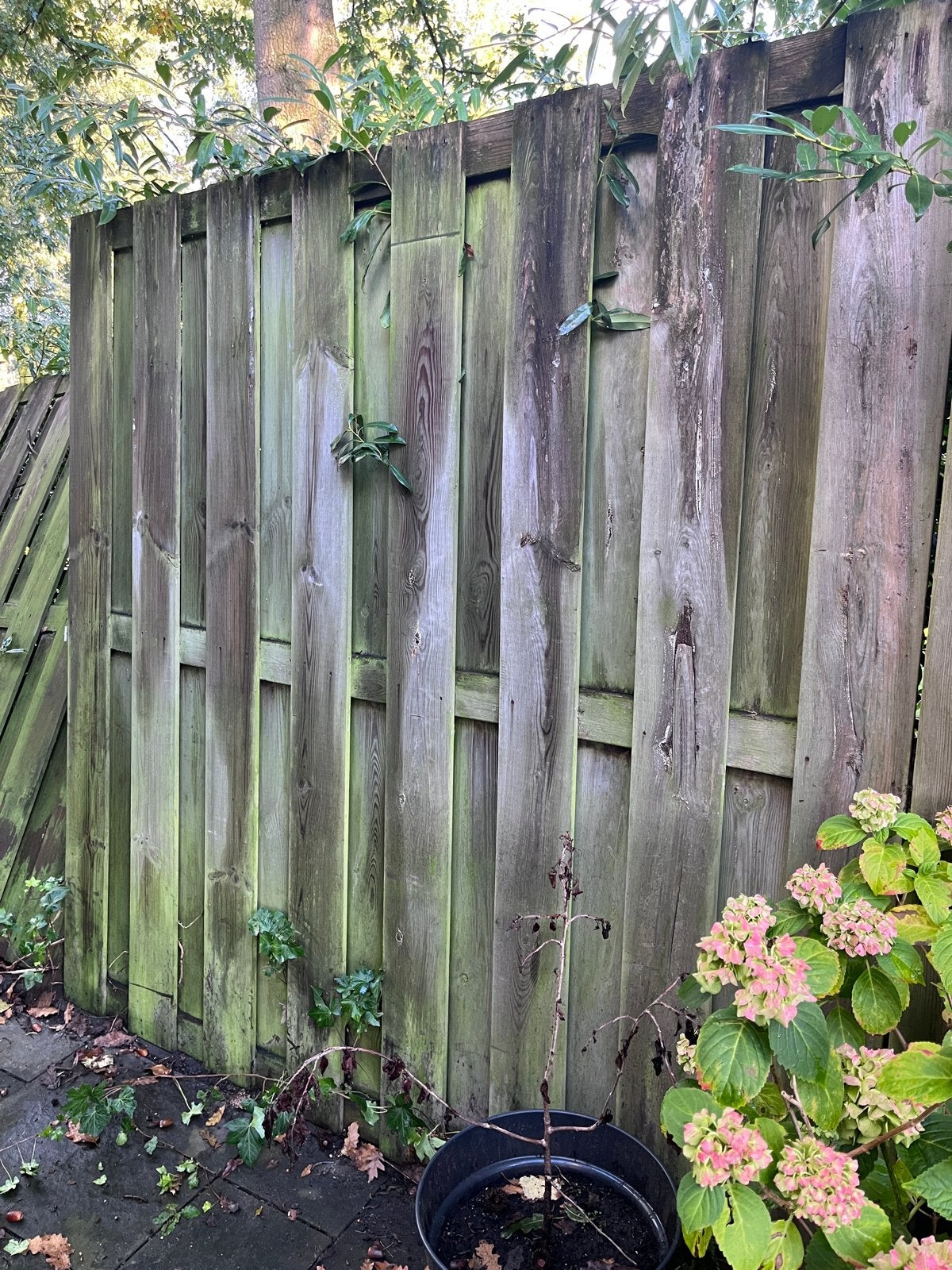 Gratis Zsm op te halen: Schuttingen, Tuin en Terras, Ophalen, 3 tot 6 meter, Hout, 1 tot 2 meter