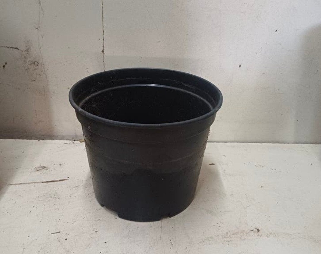 Kweekpotten plantenpotten bloempotten 5 liter, Kunststof, Gebruikt, Rond, Ophalen of Verzenden