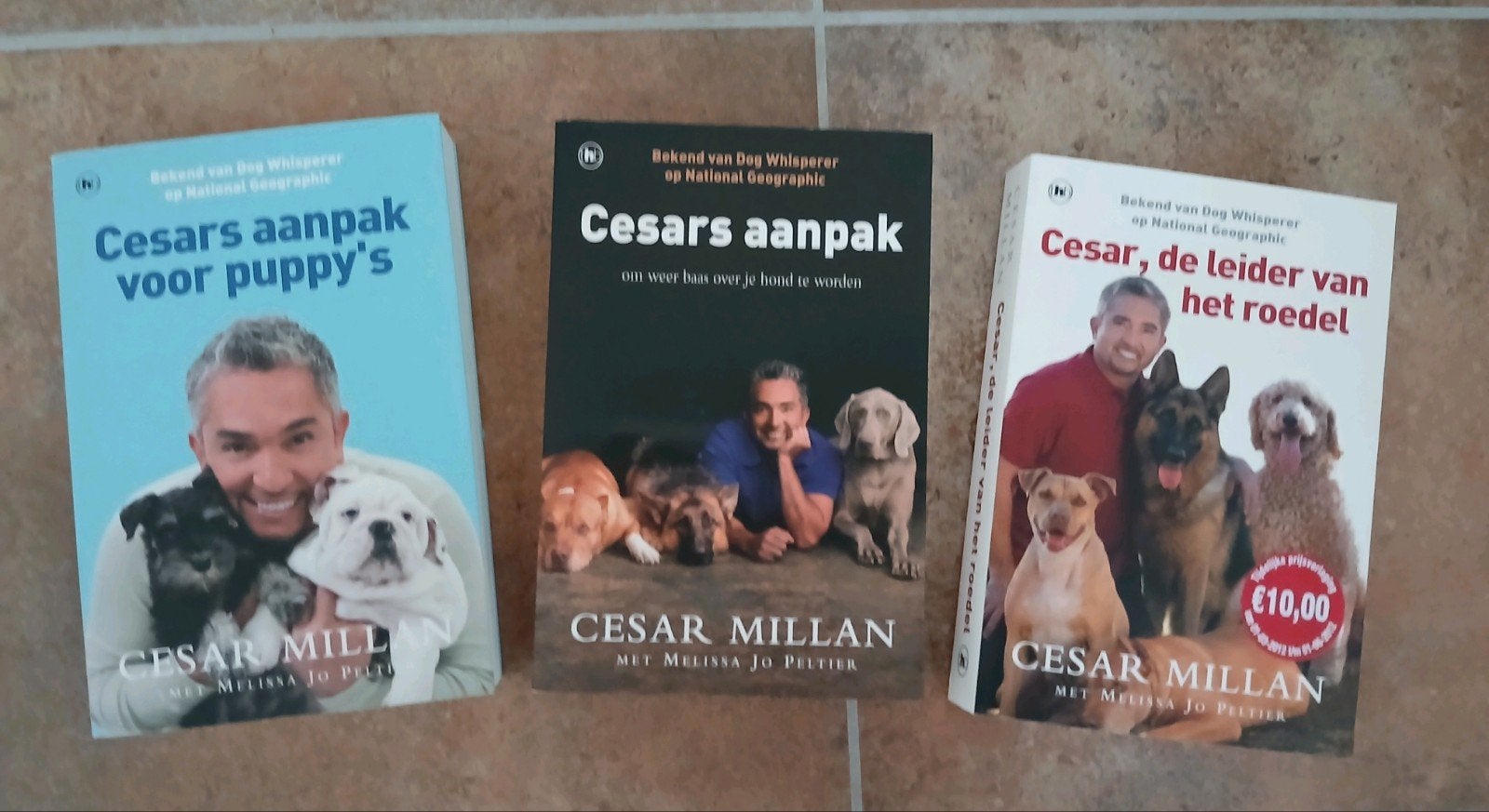 Cesar Millan Boeken: Hondenopvoeding en Puppy's, Ophalen of Verzenden, Gelezen, Honden, Cesar Millan