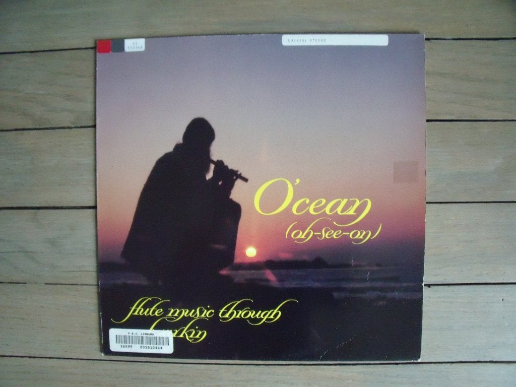 John Williams - The guitar is the song, Ophalen of Verzenden, Gebruikt, 12 inch