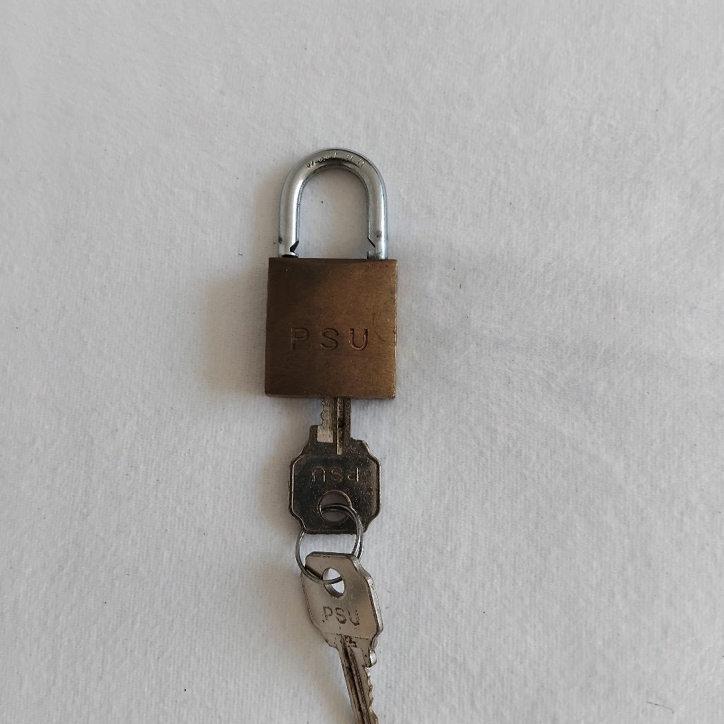1X KL PSU SLOT, Verzamelen, Ophalen of Verzenden, Landmacht, Nederland, Overige typen