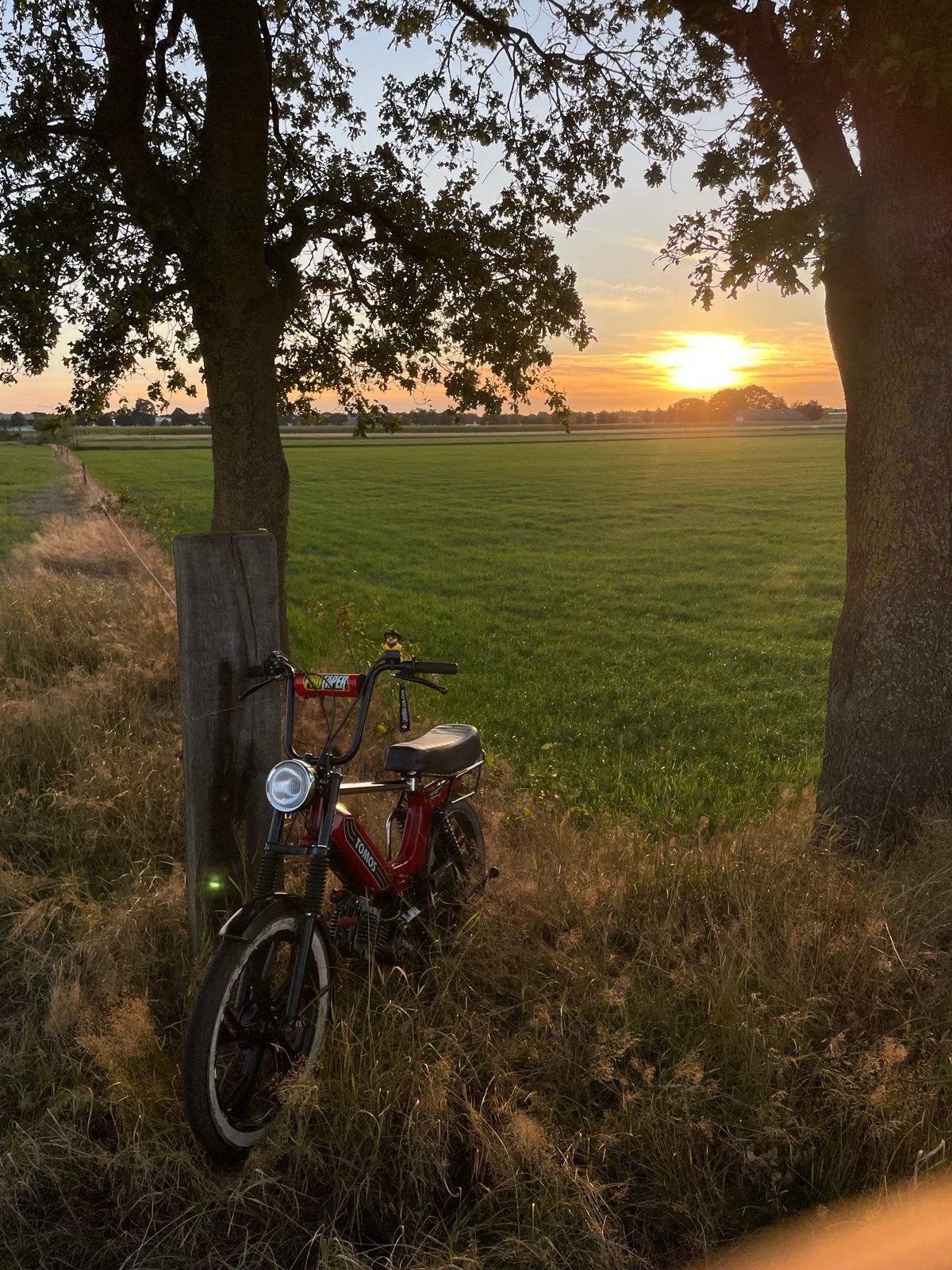 Tomos 65cc, Ophalen, Gebruikt, Maximaal 45 km/u, Standard