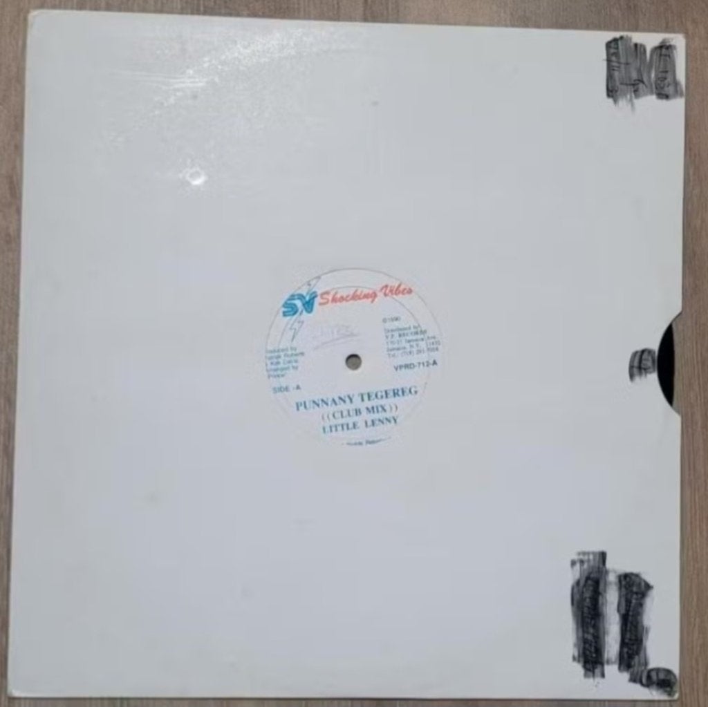 Little Lenny - Punnany Tegereg, Ophalen of Verzenden, Zo goed als nieuw, 12 inch, Overige genres