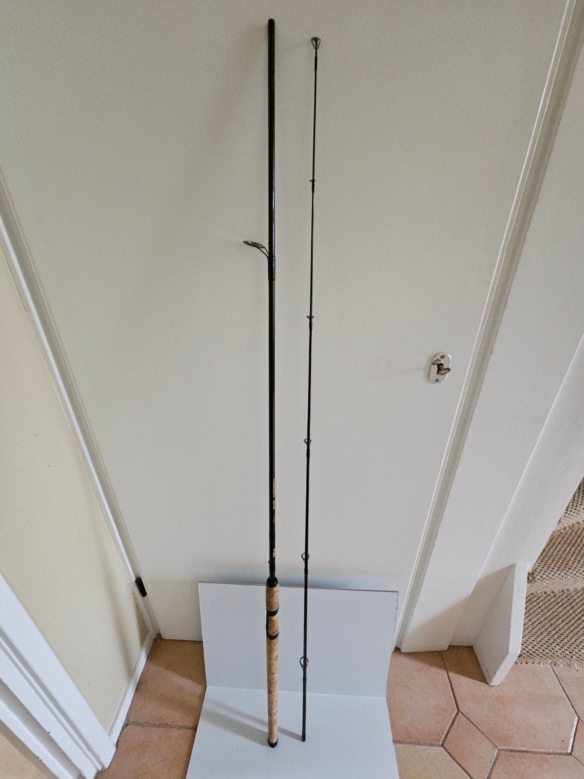 F4E Dimension Spinning Hengel 9ft 30-70g, Watersport en Boten, Ophalen, Zo goed als nieuw, Werphengel