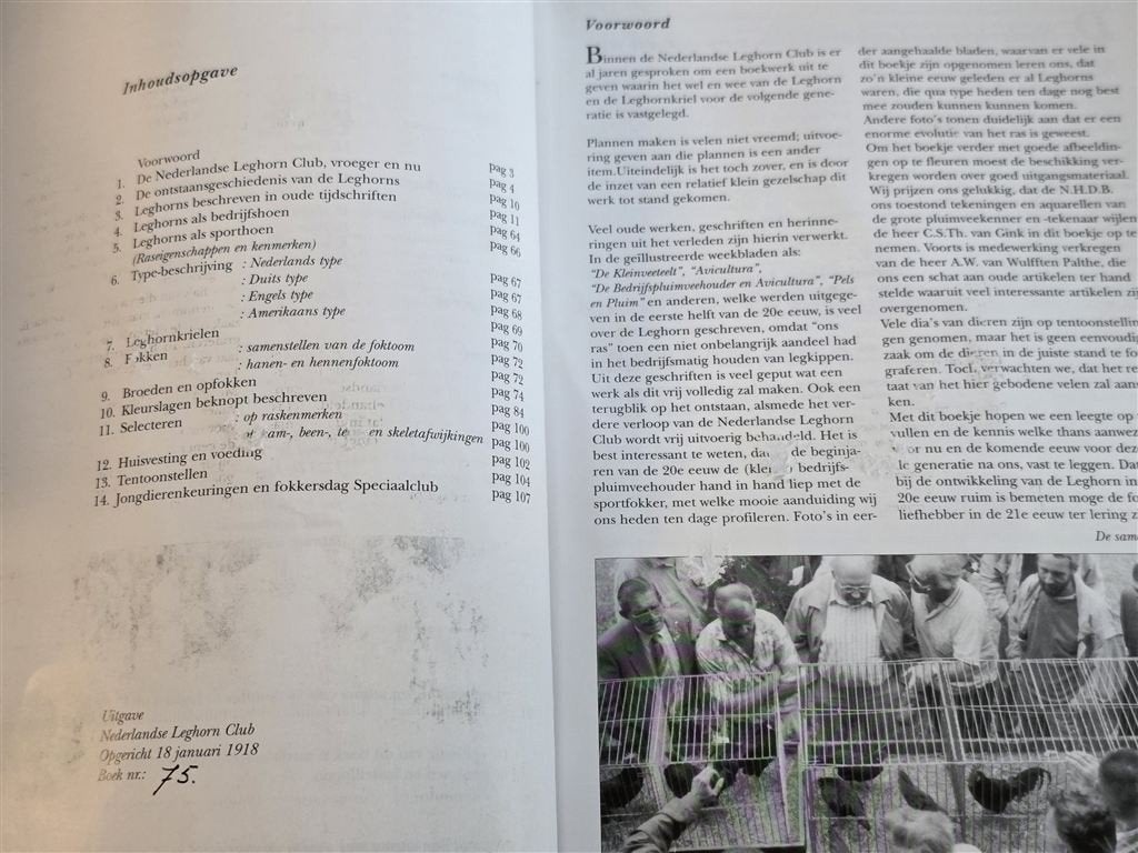 Leghorns — Kippenras & Fokgeschiedenis Zeldzaam Genummerd, Ophalen of Verzenden, Gelezen