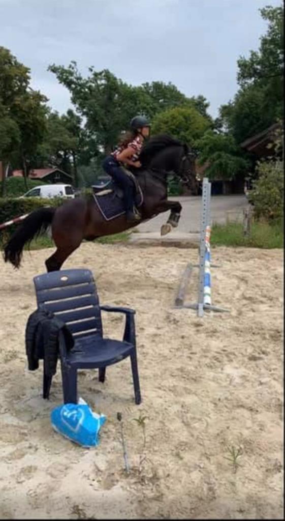 Bijrijd paard/ stal hulp aangeboden ( vervoer scooter), Ophalen of Verzenden