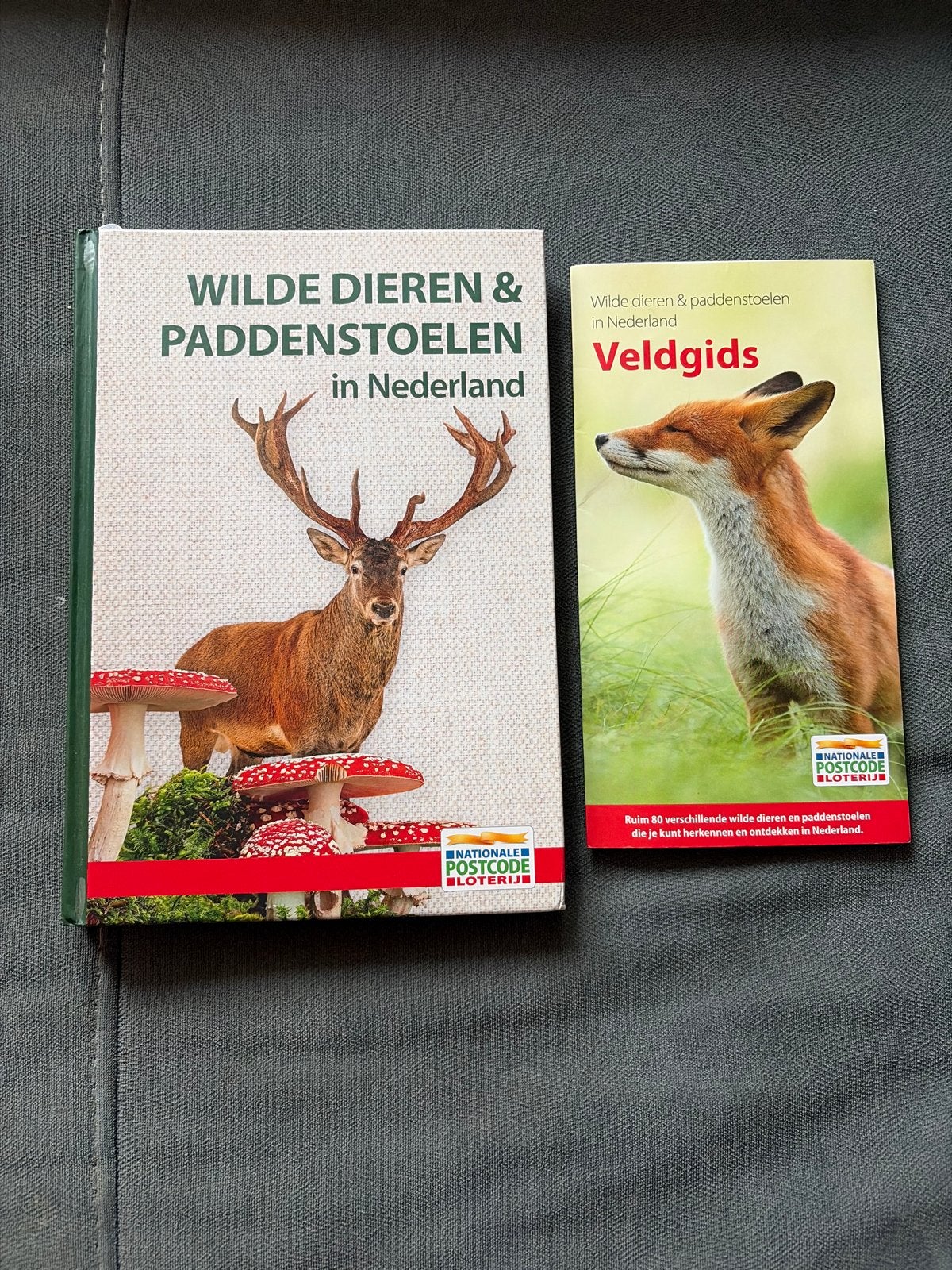 Wilde Dieren & Paddenstoelen in Nederland Boek & Veldgids, Ophalen of Verzenden, Zo goed als nieuw, Natuur algemeen