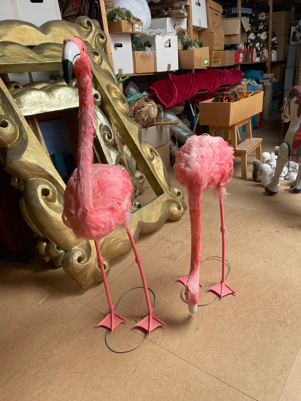 Flamingo’s, Ophalen of Verzenden, Gebruikt