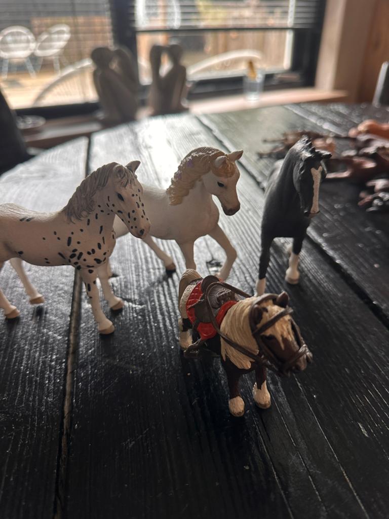 Schleich en bij behoren, Kinderen en Baby's, Speelgoed | Overig, Ophalen, Zo goed als nieuw, Jongen of Meisje