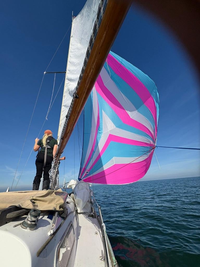 Zeilboot zeer compleet, Watersport en Boten, Ophalen, Gebruikt, Diesel, Tourjacht of Cruiser